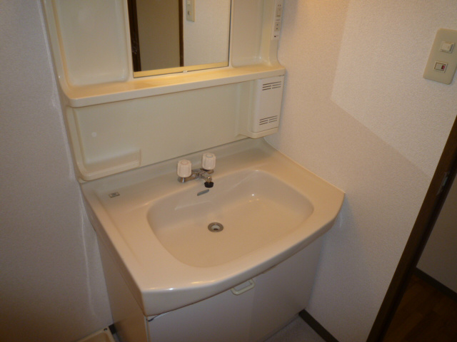 リベラルT その他1