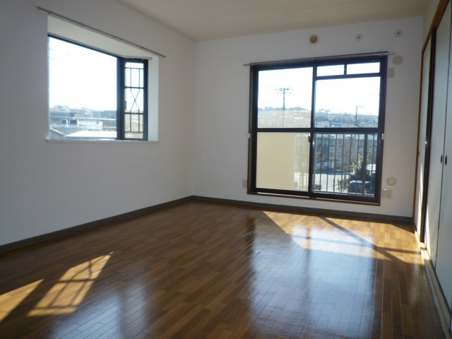 リベラルT その他4