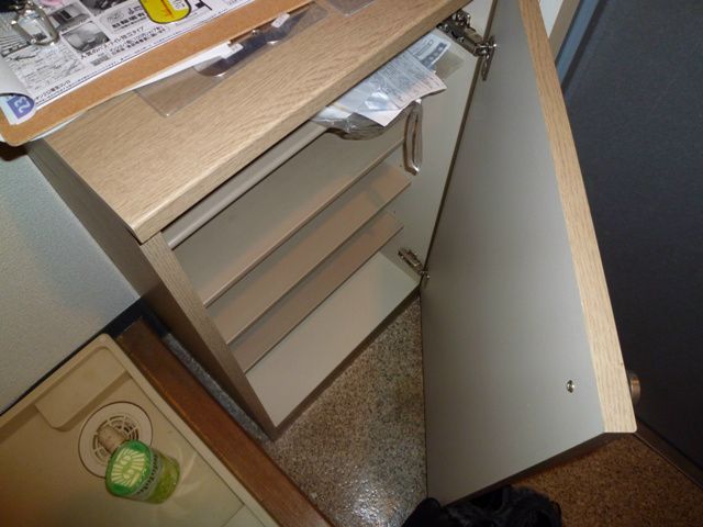 ラグゼナ本厚木 玄関