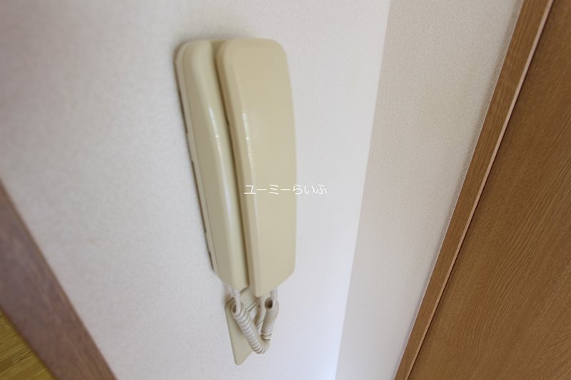 ファインブルーム その他3