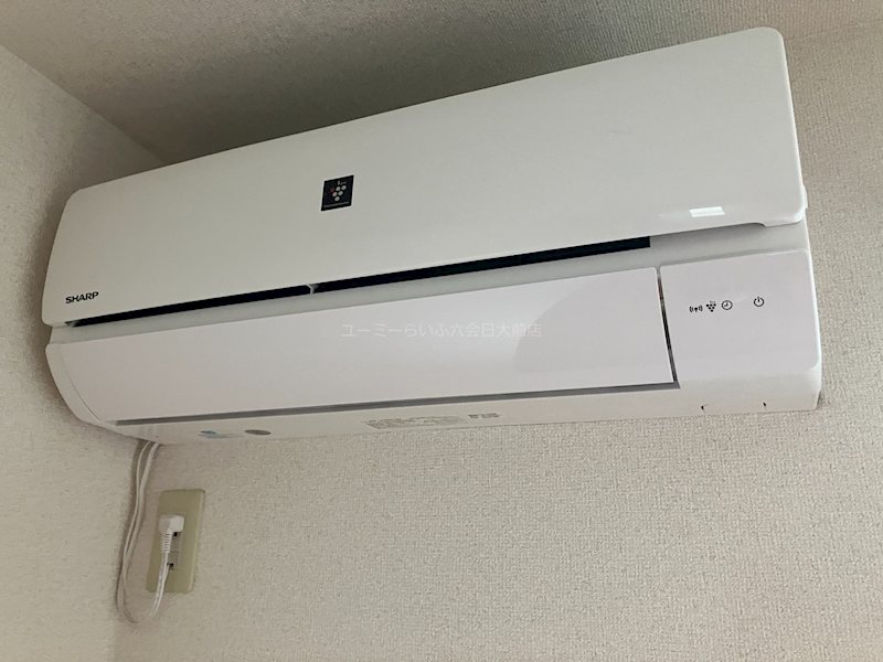 Belle  Fleuve その他4