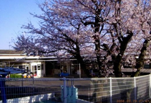 フォルトゥーナ 周辺画像5