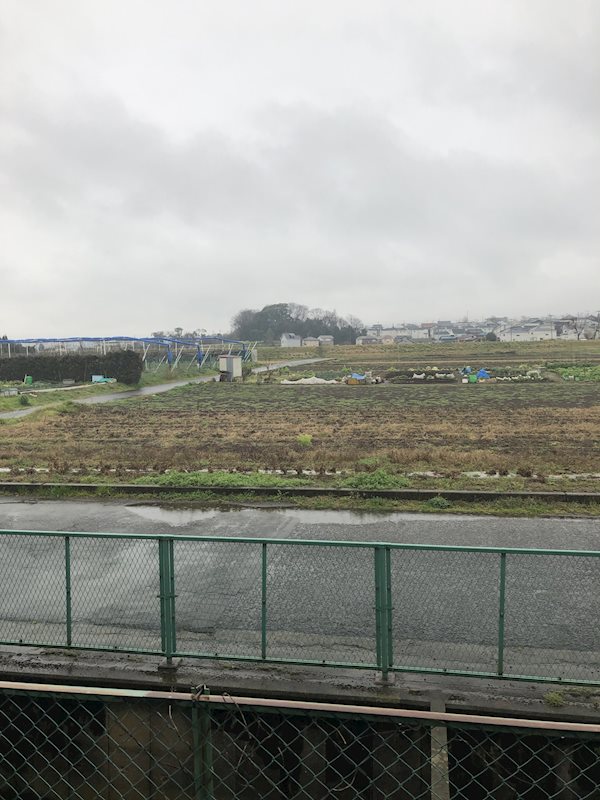 コスモ芦川A 眺望