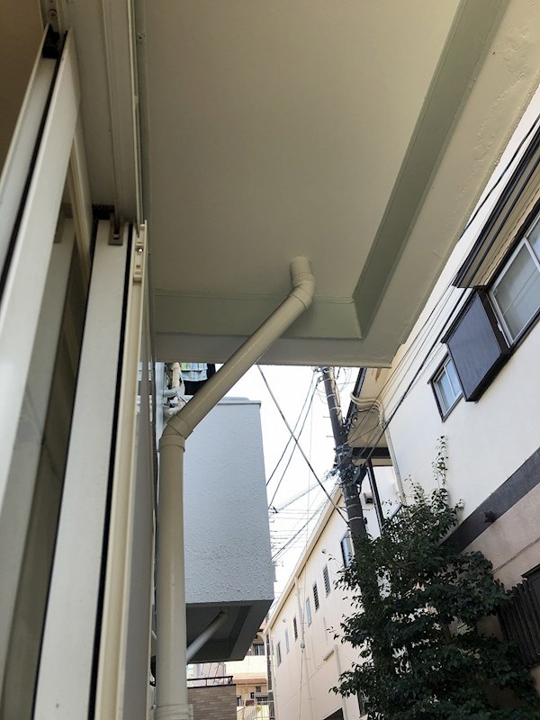 ドルフ東海大 その他4