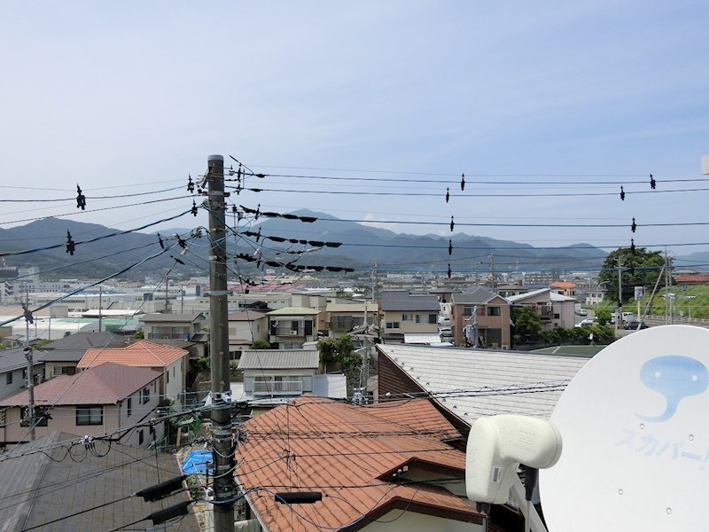 スプリングハウス その他6