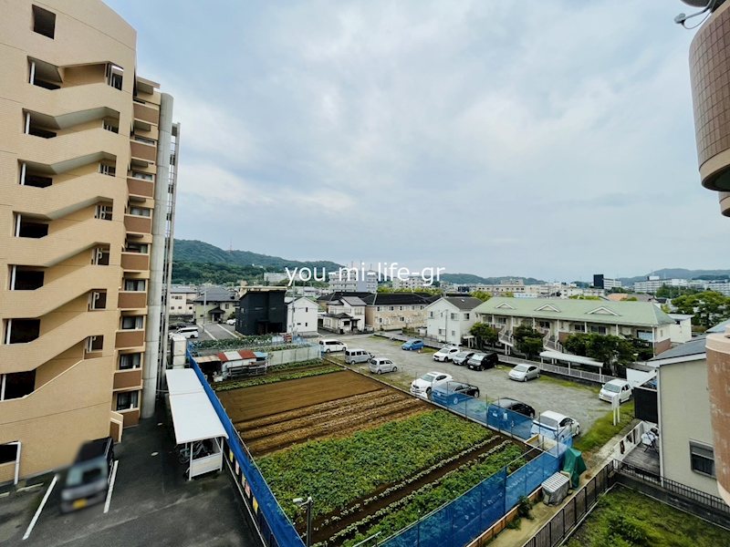 サンジュネス湘南 その他5