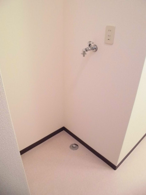 メタセコイヤの写真10