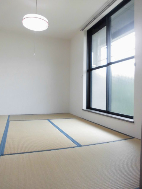 メタセコイヤの写真11