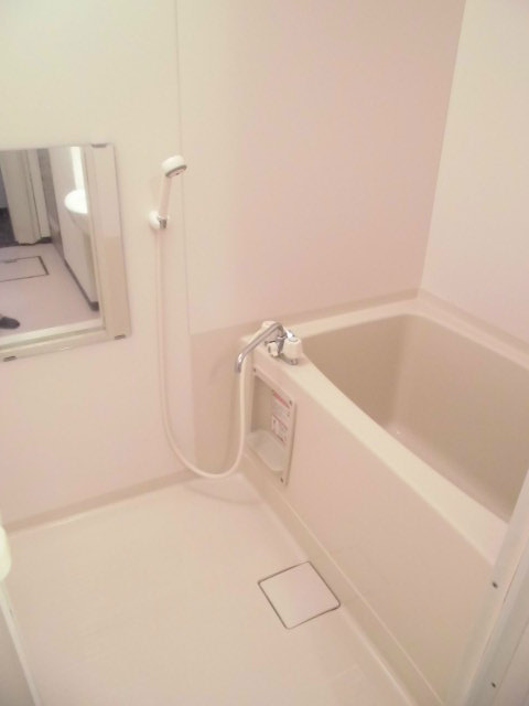 メタセコイヤの写真4