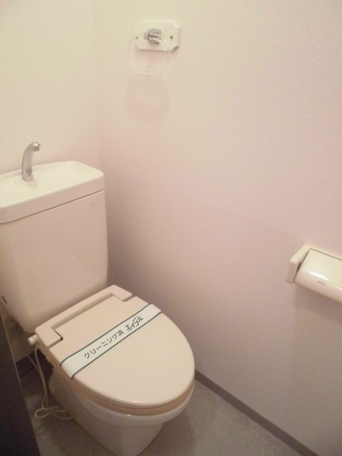 メタセコイヤの写真7