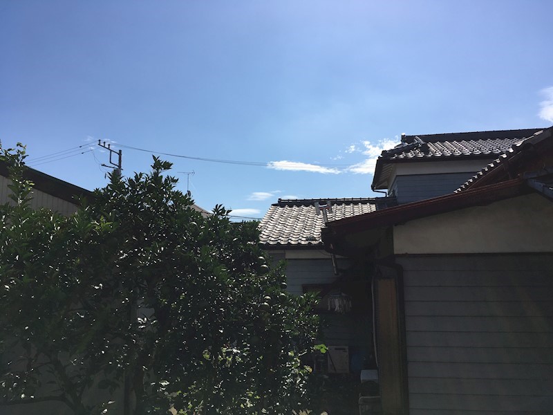 コーポアルファー その他5