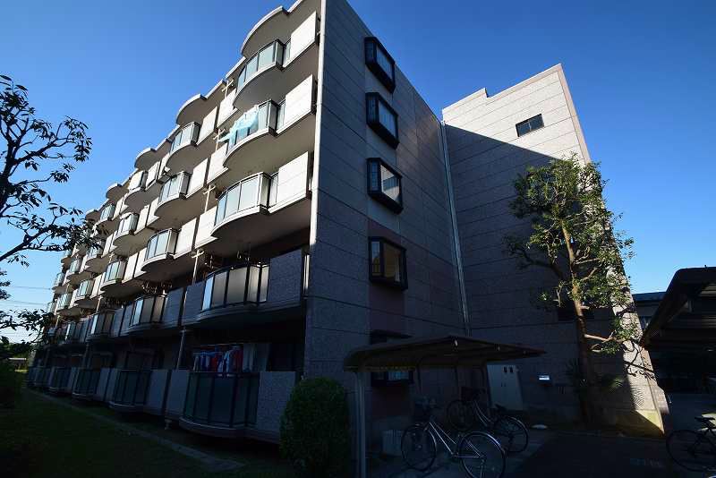 柏桜レジデンス 404号室 外観