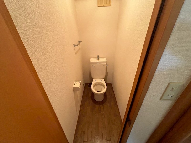 グレースなしの木 その他3