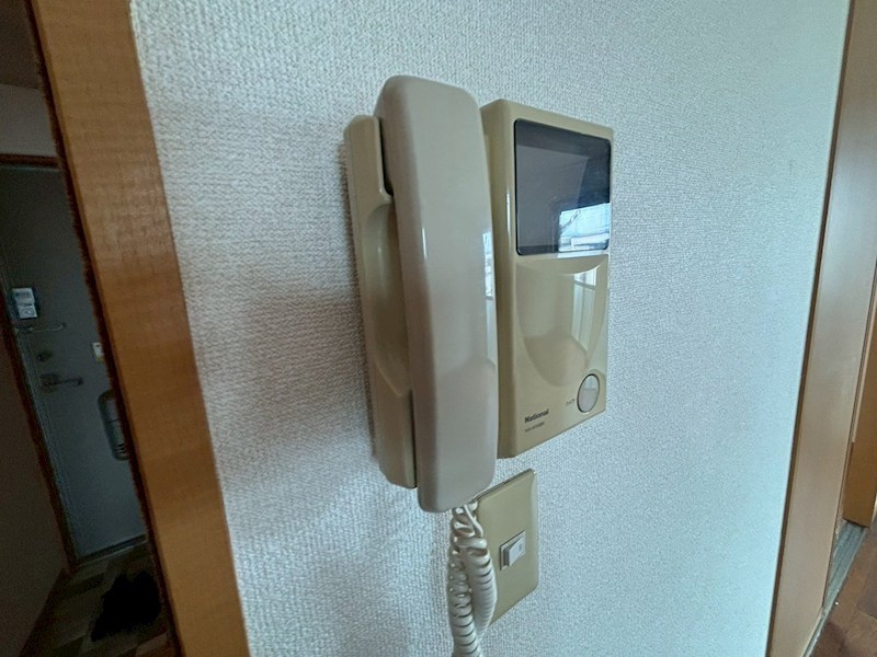 グレースなしの木 その他4