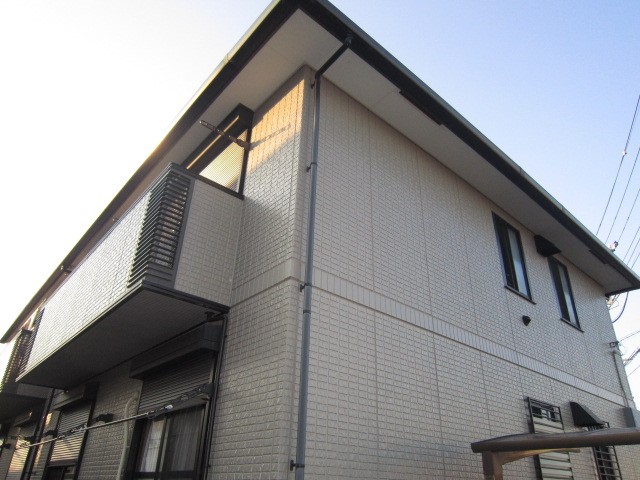 グレースなしの木 その他6