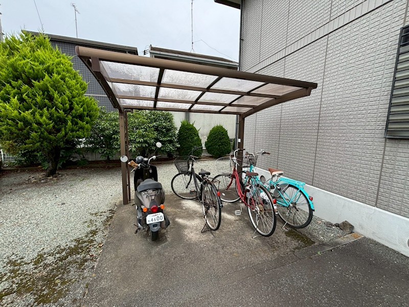 グレースなしの木 その他外観1