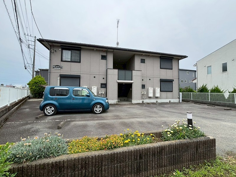 グレースなしの木 その他外観2