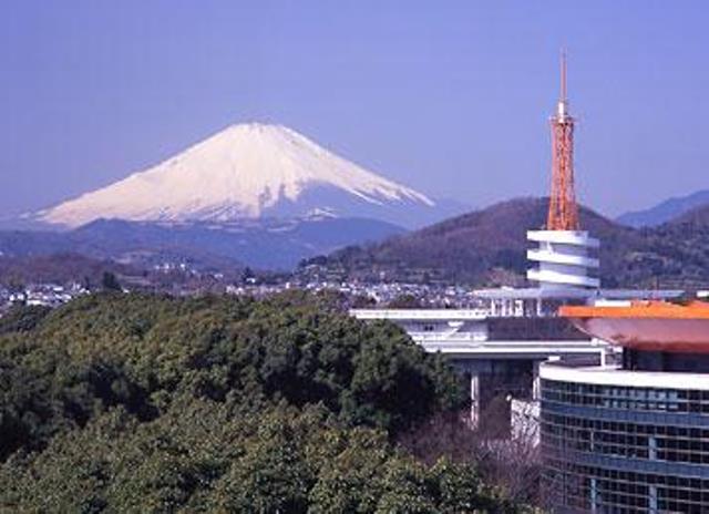 パーシモン湘南 周辺画像5