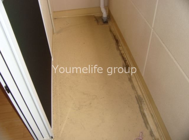 グリーンリーフ ベランダ