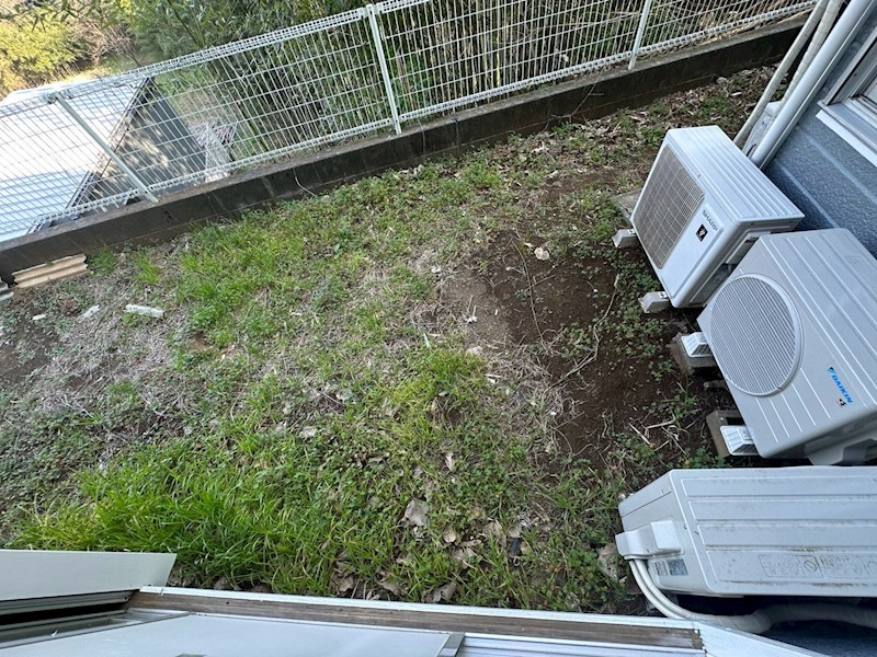 シリウス その他6