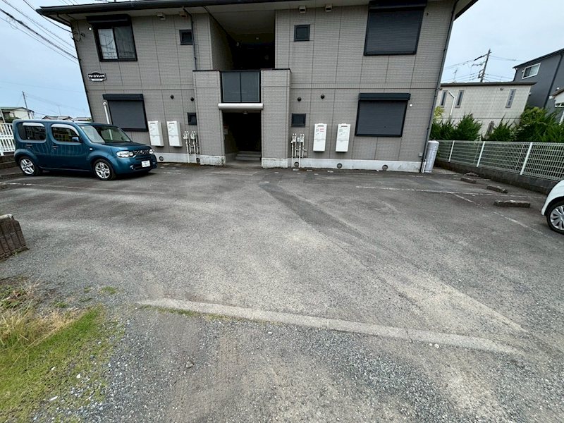 グレースなしの木 その他5