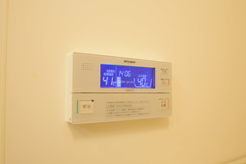 グリーンリーフ その他6