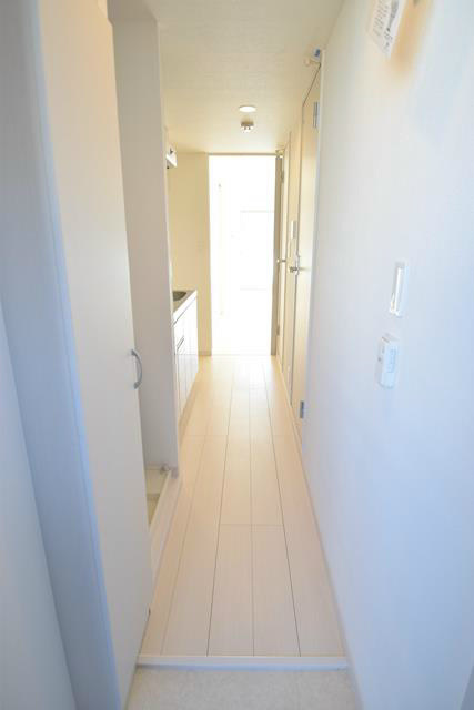 リブリ・ポピー その他6