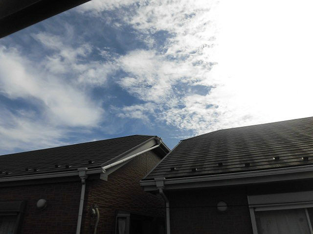 アネックス・T その他6