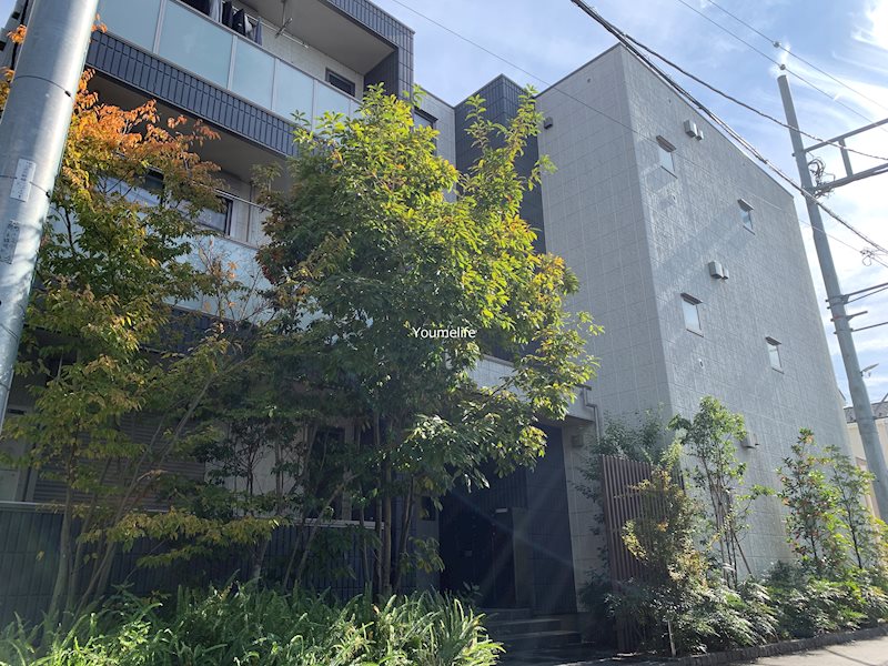 Ｃｅｌｅｓｔｉｎｅ　湘南 203号室 外観