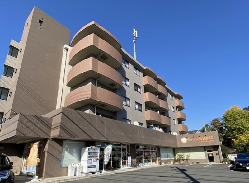 グレイス石塚 202号室 外観