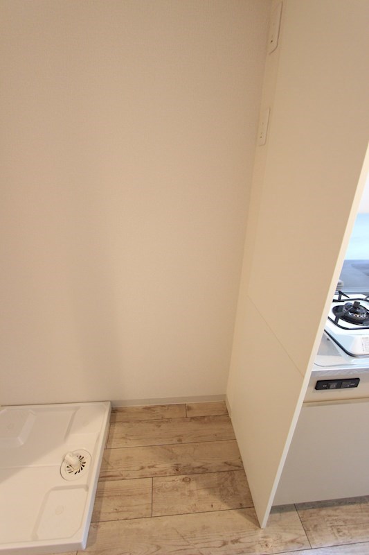 セレスティアル　アスカ その他13