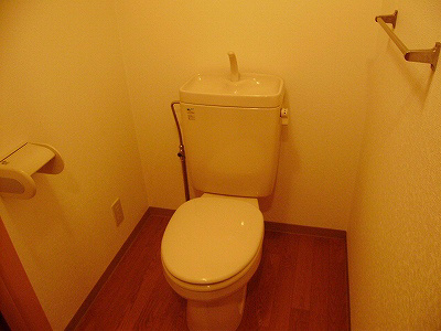 バストイレ別。別部屋参考写真。 スカイグランデ その他1