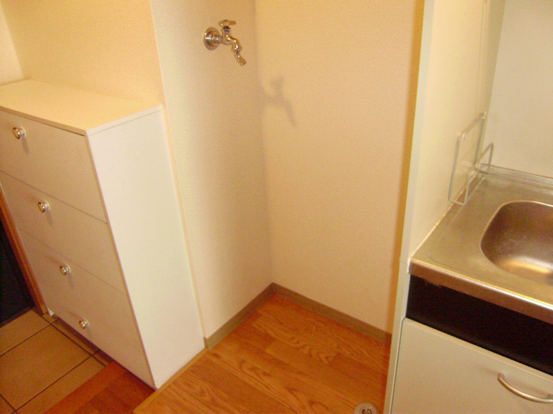 室内洗濯機置場。別部屋参考写真。 スカイグランデ その他11