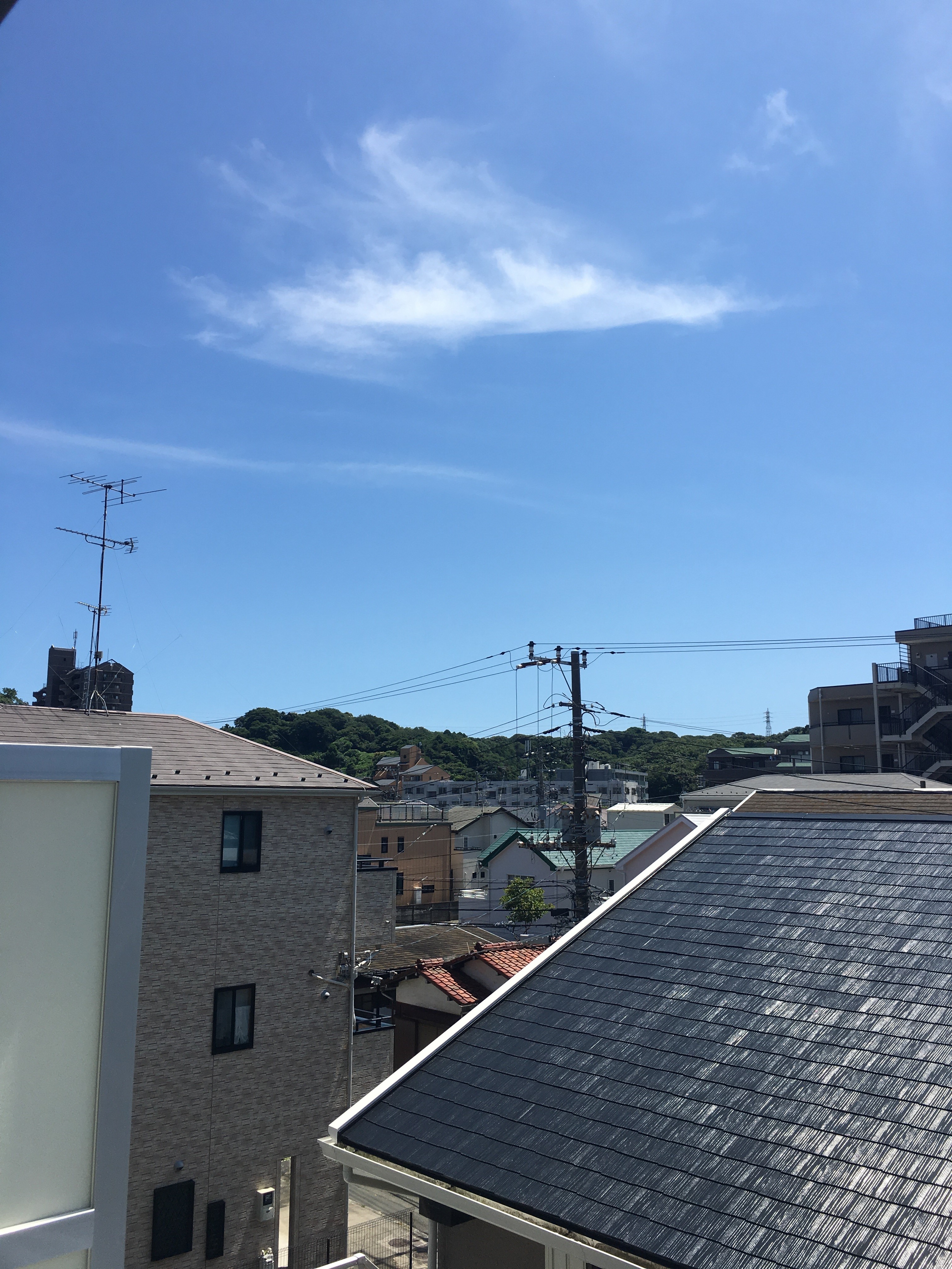 リブリ・藤沢川名 その他2