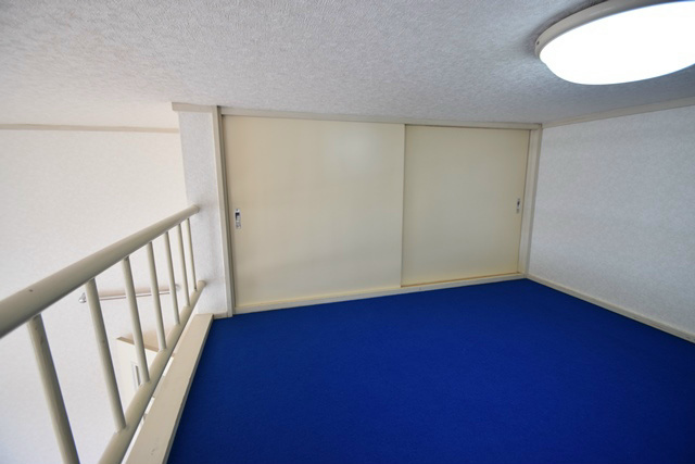 ドルフ東海大 その他2