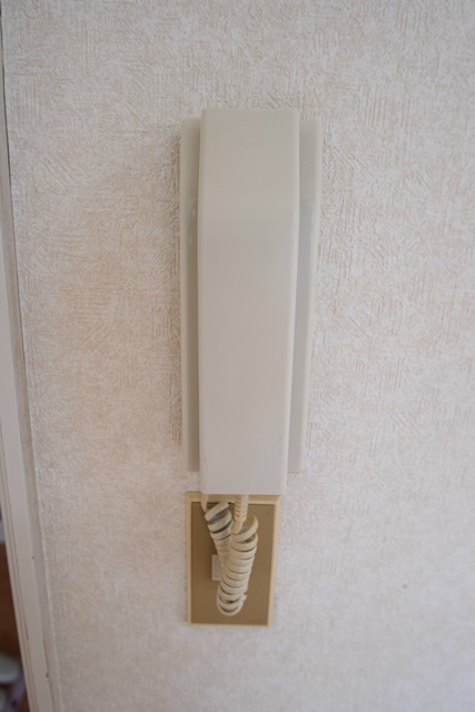 ドルフ東海大 その他3