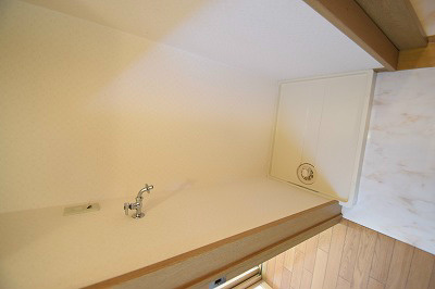 バロン  その他7