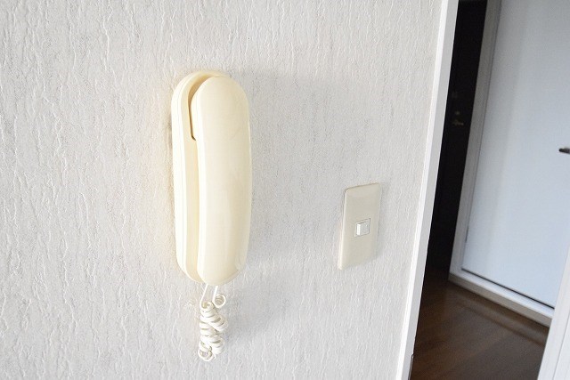 グレース吉川 その他4