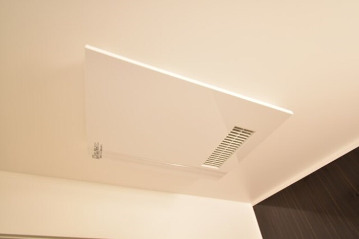 くるみC その他2