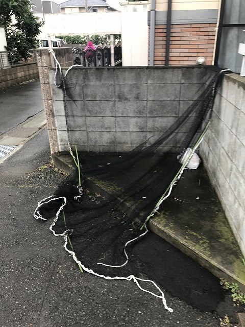 プレジールドリームハイツ その他外観3