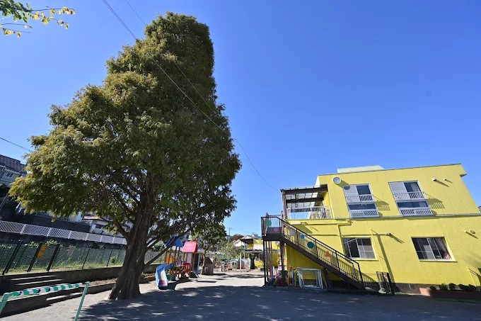 秦野市尾尻戸建 周辺画像6