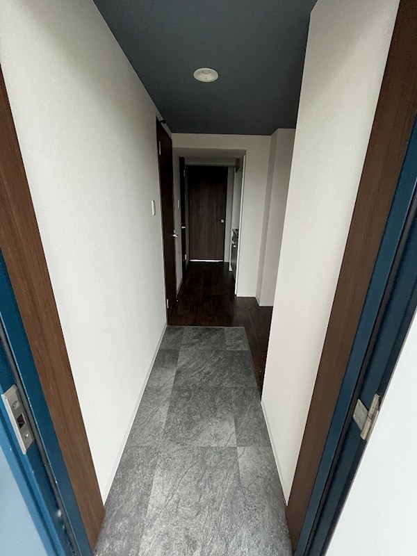 カレッジヒルズC 玄関