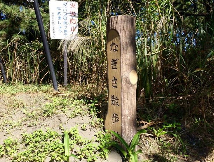 ラディエンス東海岸　Ⅰ   周辺画像2