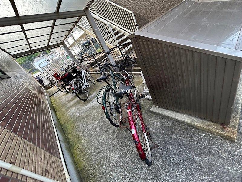 アンディ その他