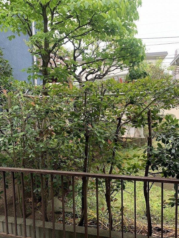 エイト鵠沼桜が岡 その他5