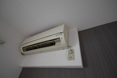 サニーグリーン その他2