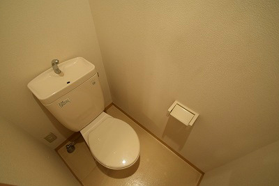 サニーグリーン その他5