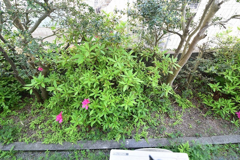 メゾンド萩 その他7