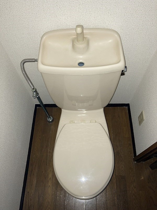 ウェルネスⅢ その他1