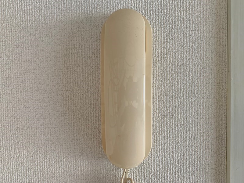 さつきⅡ その他1